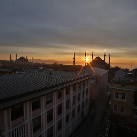 레이디 다이아나